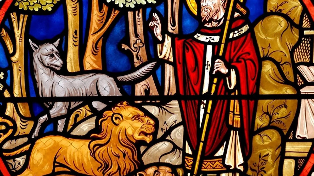 종교 의식과 제도의 인류학적 구조와 기원 탐구