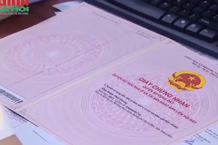 Quảng Trị: Diện tích tối thiểu tách thửa đất ở năm 2026 - Chuyên trang Gia Đình &amp; Xã Hội - Báo Sức khỏe &amp; Đời sống