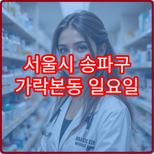 서울시 송파구 가락본동 일요일 당직약국 처방전 조제 가능 여부 정리