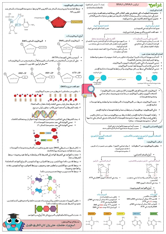 صورة الغلاف