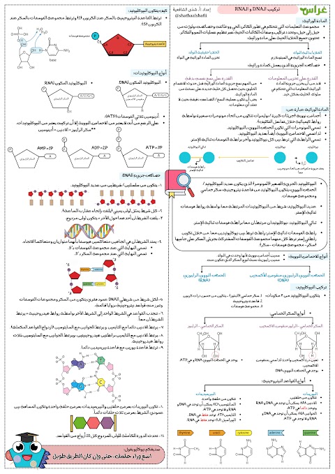 ملخص مركّز في 4 ورقات للوحدة الأولى الأحماض النووية وبناء البروتين - أحياء الصف 12 الفصل 1