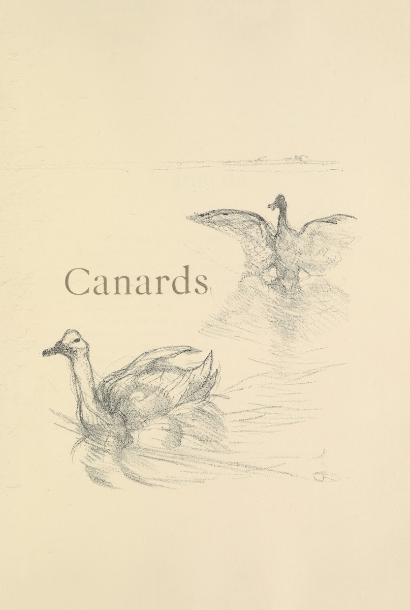 Canards 1899