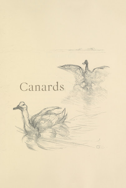 Canards 1899