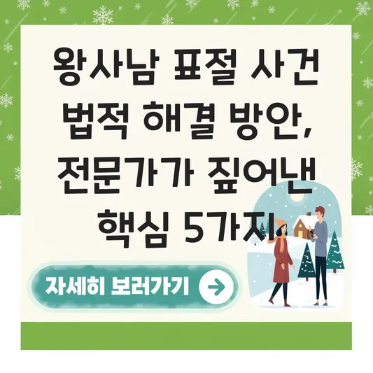 왕사남 표절 사건 법적 해결 방안
