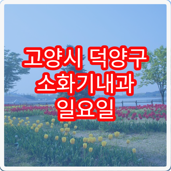 고양시 덕양구 소화기내과 일요일 진료 병원 위장 트러블 주말 진료 안내