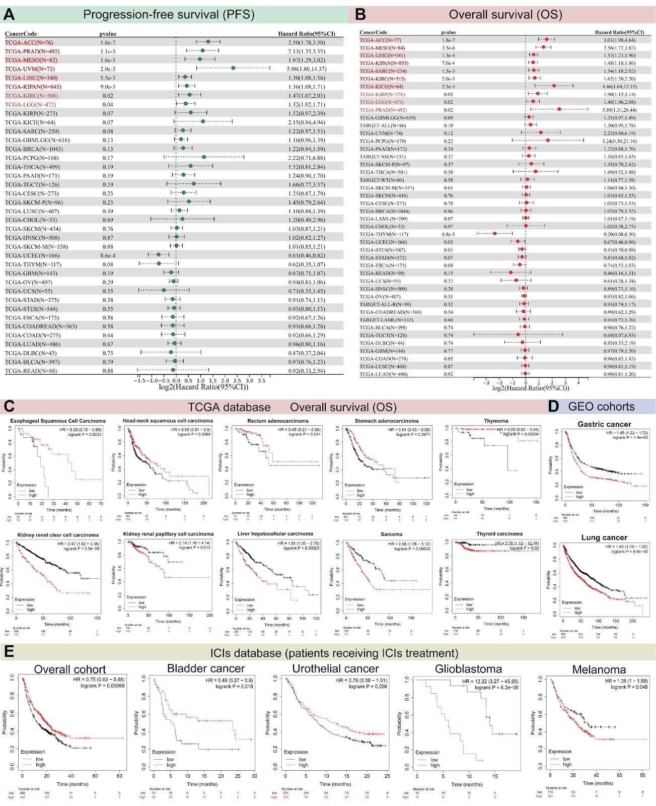 TCF3 as a multidimensional biomarker: oncogenicity, genomic alterations, and immune landscape in pan-cancer analysis