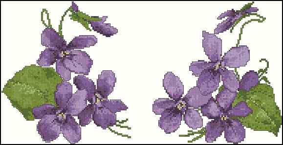 CMP 170316 Helen Purple