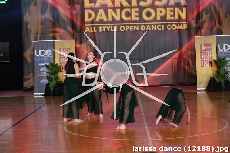 larissa dance (12188).jpg