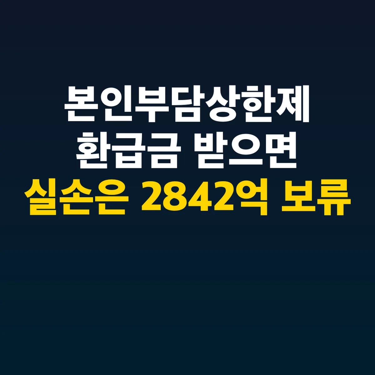 본인부담상한제 환급금 받으면 실손은 2842억 보류