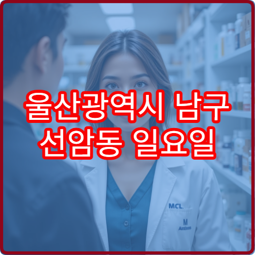 울산광역시 남구 선암동 일요일 당번약국 문 여는 약국 찾기 감기 소화제 취급