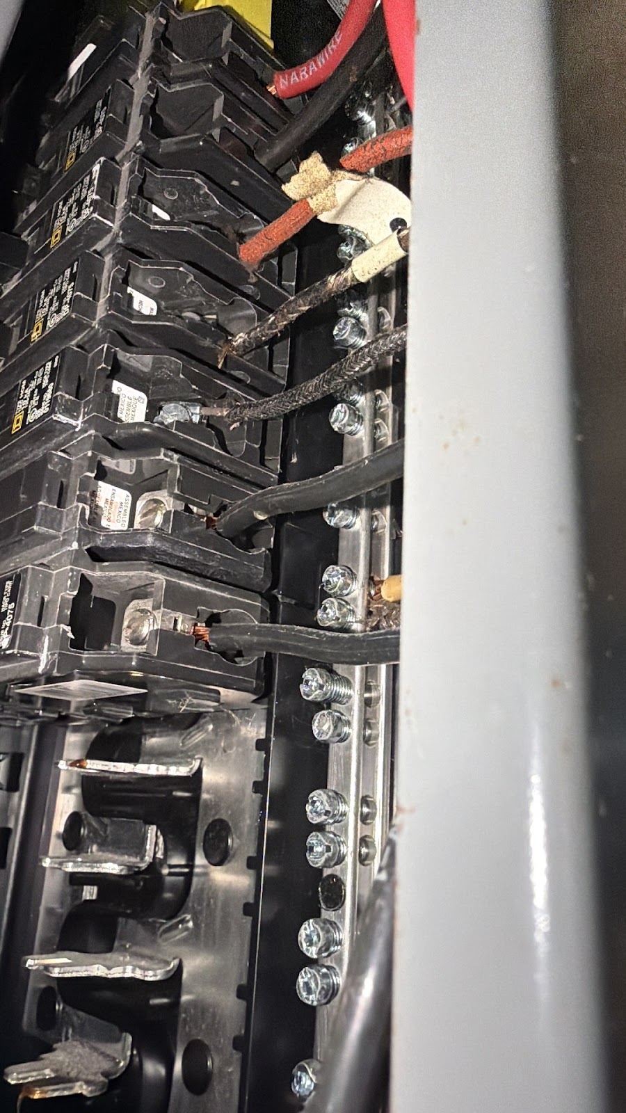 Copy of IMG_2026-03-12_16-33-37_798.jpg