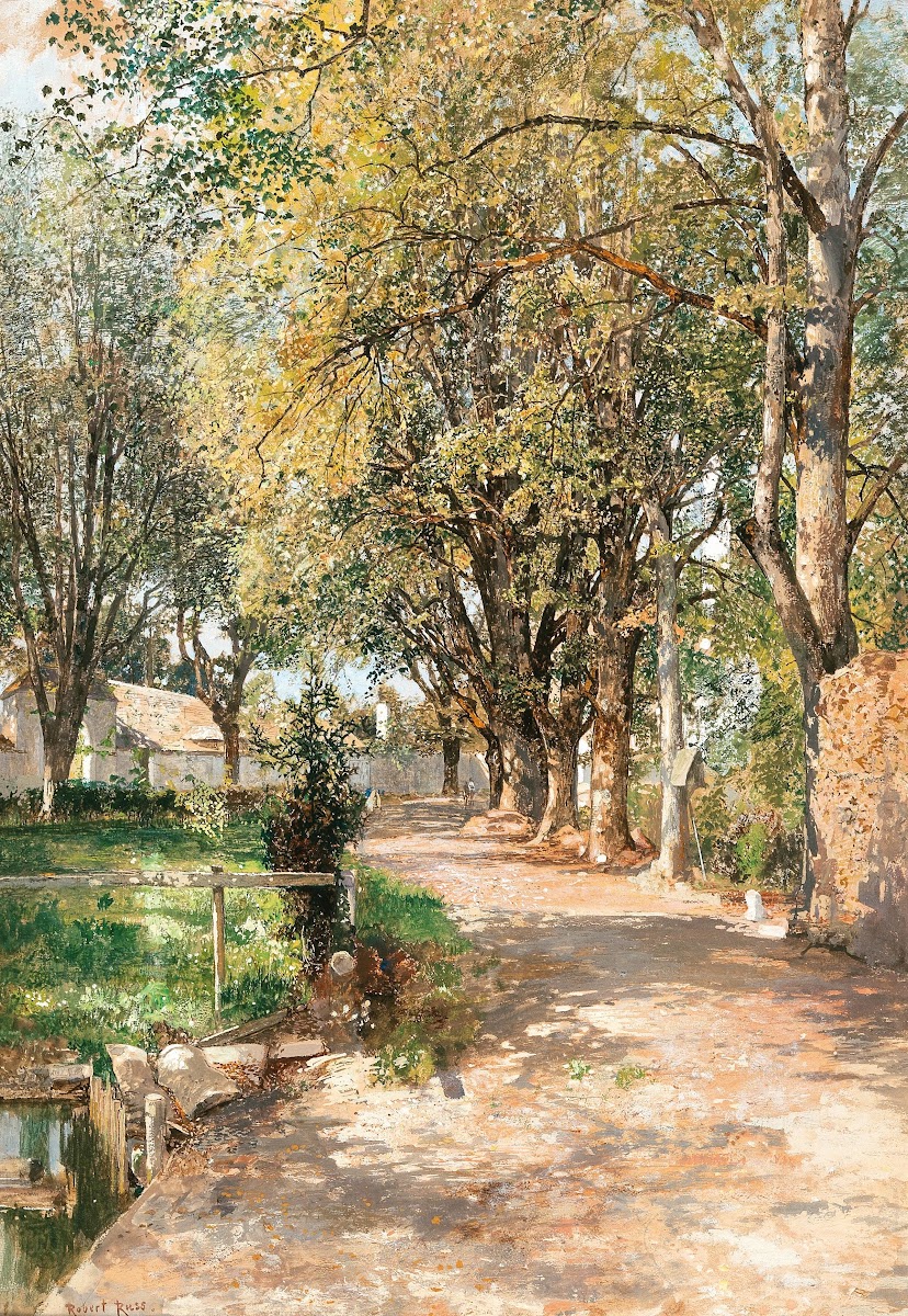 A sun drenched path in spring