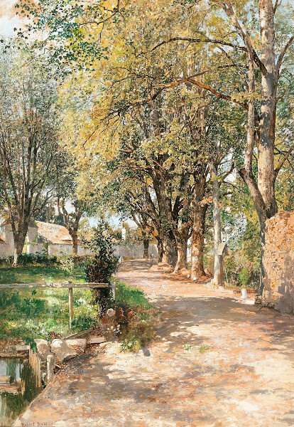 A sun drenched path in spring
