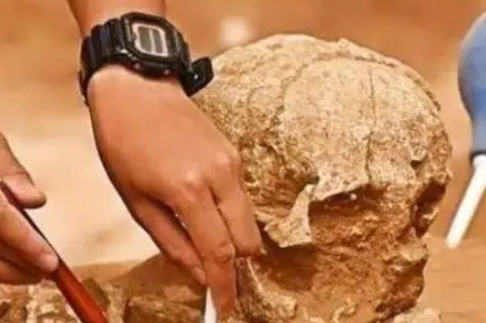 Bất ngờ thân phận bộ xương đàn ông trong lăng mộ công chúa 17 tuổi - Báo Tri thức &amp; Cuộc sống
