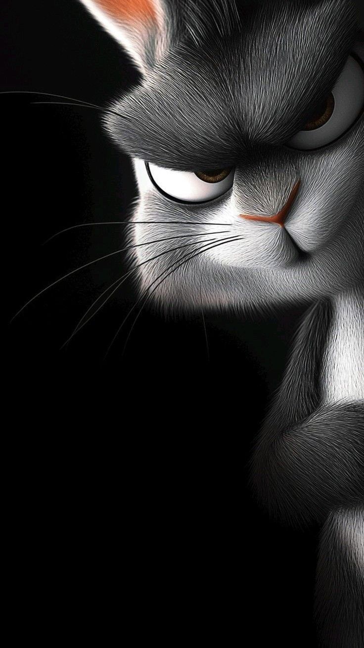1490+ samsung wallpaper hd