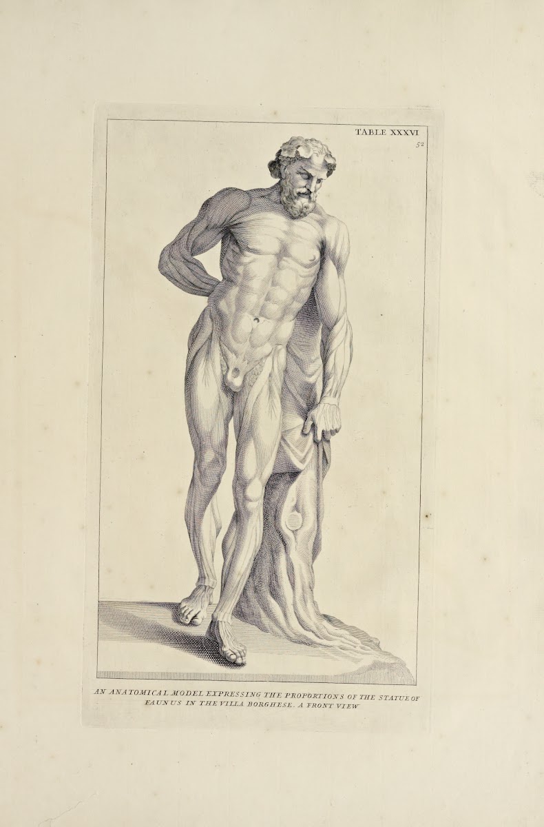 Anatomy improvd and illustrated with regard to the uses thereof in designing Pl3