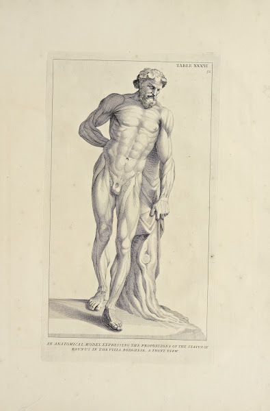 Anatomy improvd and illustrated with regard to the uses thereof in designing Pl3
