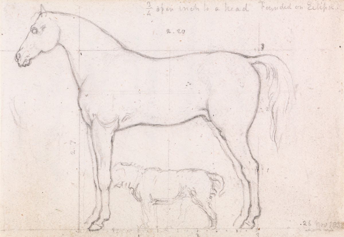 Anatomical Study of a Horse Founded on Eclipse Nov 26 1832 1832