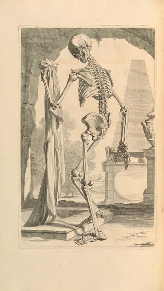 Anatomia humani corporis Pl089 1685