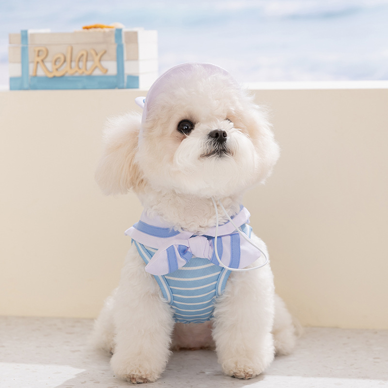 Dog dress for small dogs, summer, 2-piece