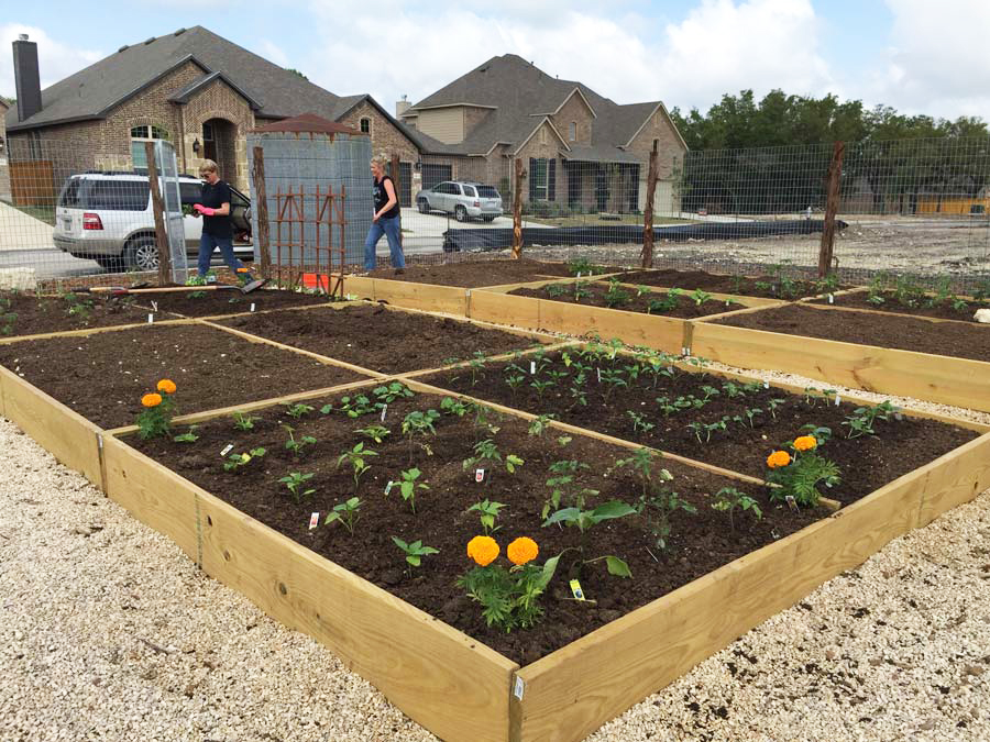 Balcones Creek community garden