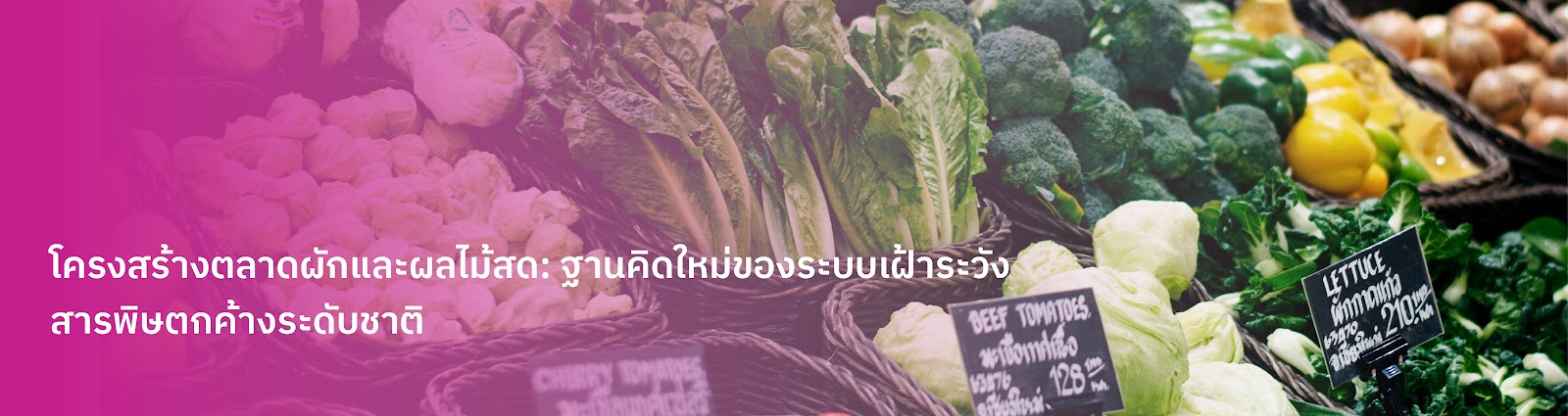 Main Banner