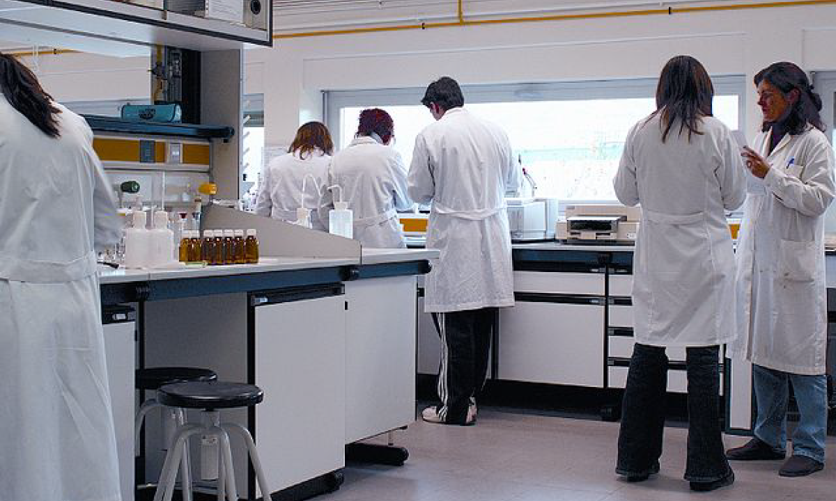 El declive de la inversión en ciencia y educación superior en México