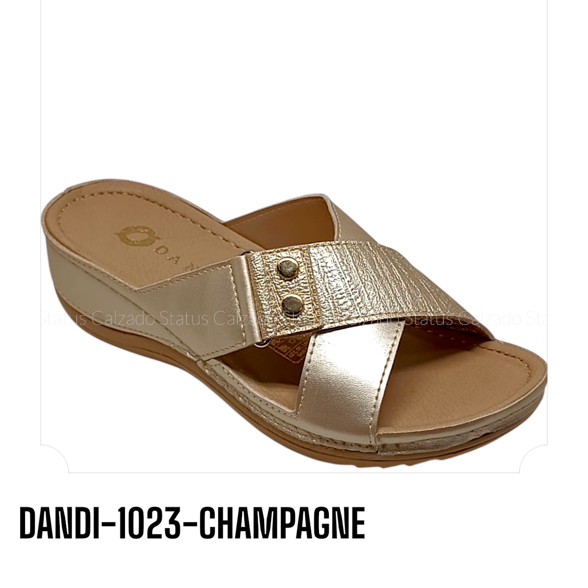 DANDI-1023-CHAMPAGNE
