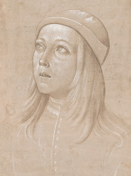 Head of a Youth Looking Up c 1485