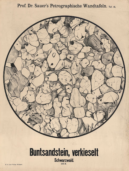 Bunter sandstone silicified Black Forest 1907