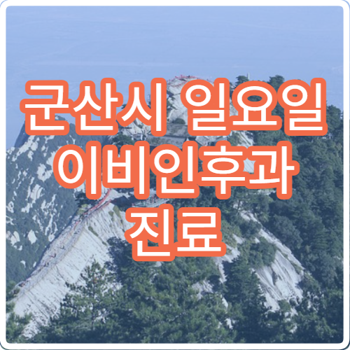 군산시 일요일 이비인후과 진료 병원 – 편도염, 중이염, 코막힘, 인후통 진료 가능