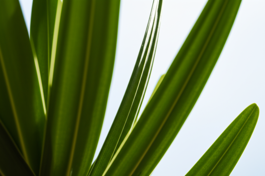 🚨 주의할 점 (이건 꼭 지키세요)