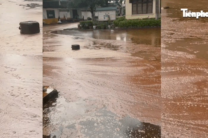 Bể chứa ở nhà máy đường bị sét đánh, hàng nghìn tấn mật mía tràn ra ngoài - Báo Tiền Phong