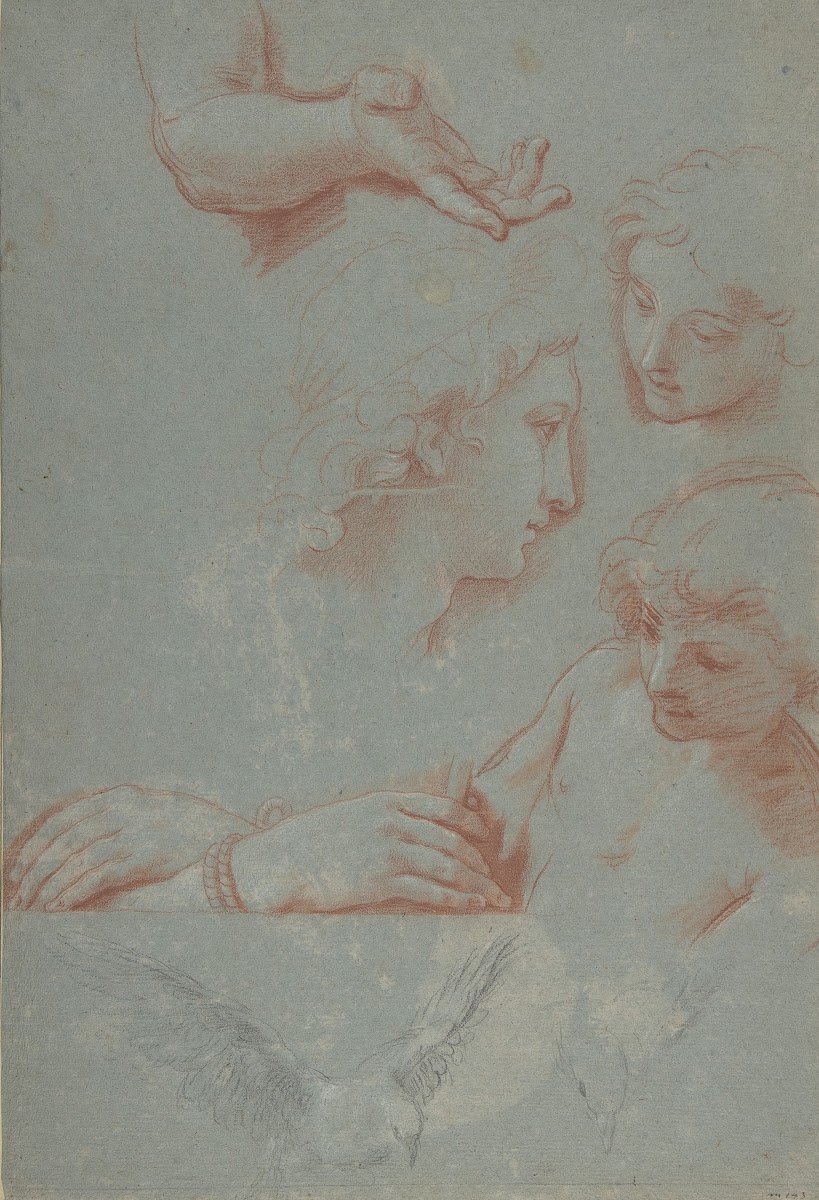 Sheet of Studies Heads Hands and Doves 16381721