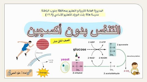 شرح درس التنفس من دون أكسجين - أحياء الصف 12 الفصل 2