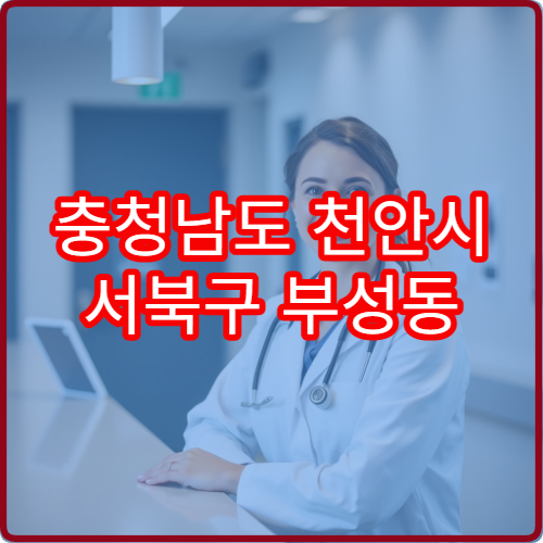 충청남도 천안시 서북구 부성동 설날 명절 연휴 문 여는 약국 정보