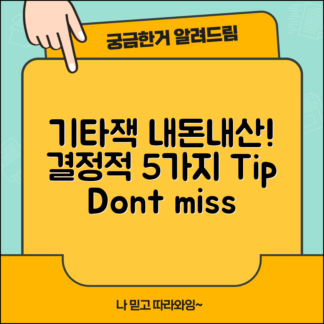 기타잭 내돈내산, 결정적인 5가지 팁!