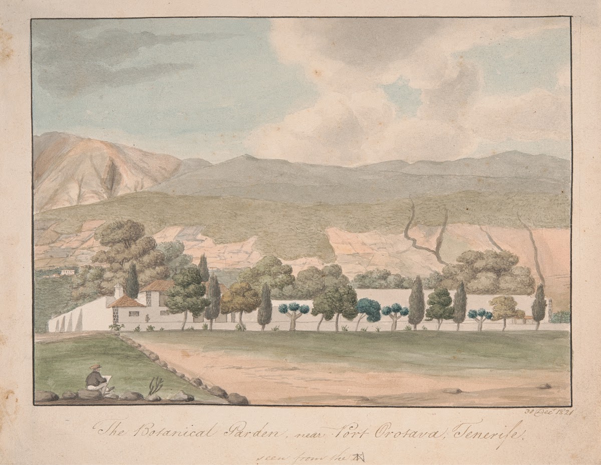 The Botanical Garden near Port Orotava Tenerife 1821