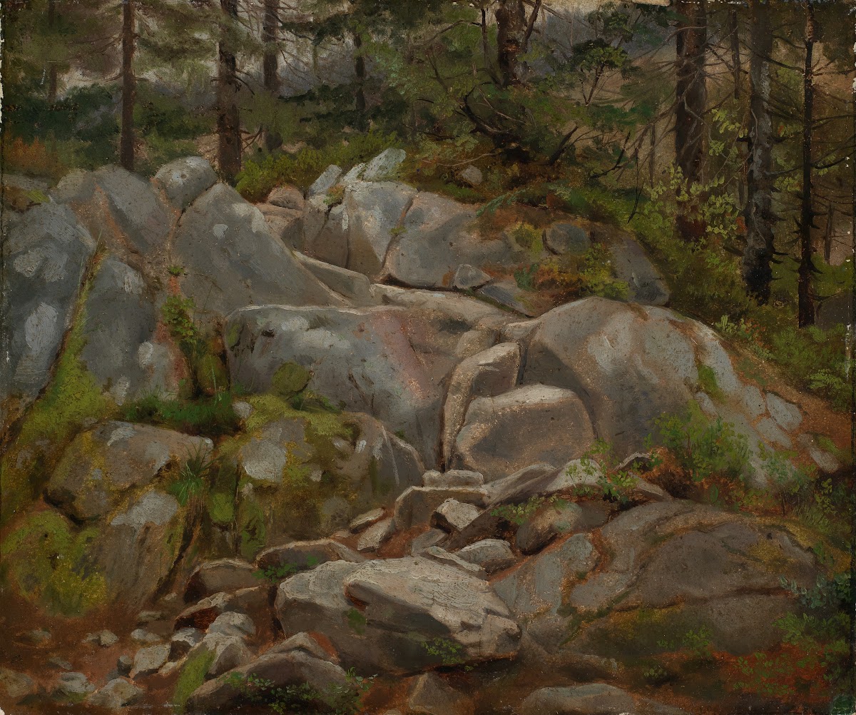 Felsblöcke mit Tannenstämmen 1861