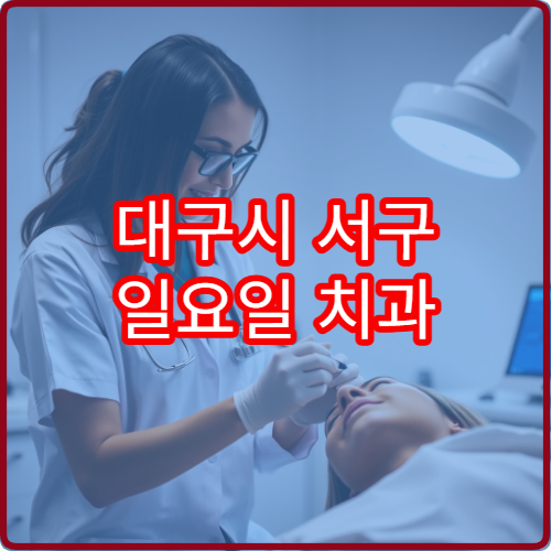 대구시 서구 일요일 치과 진료 가능한 병원 정보를 담은 상세 정리