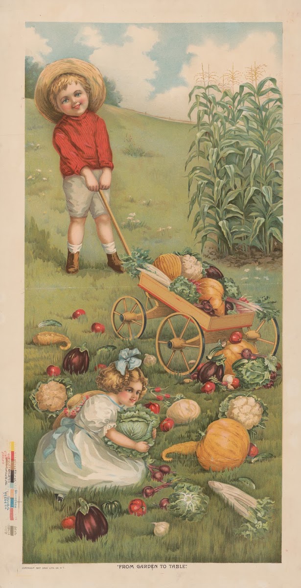 From Garden to table 1907