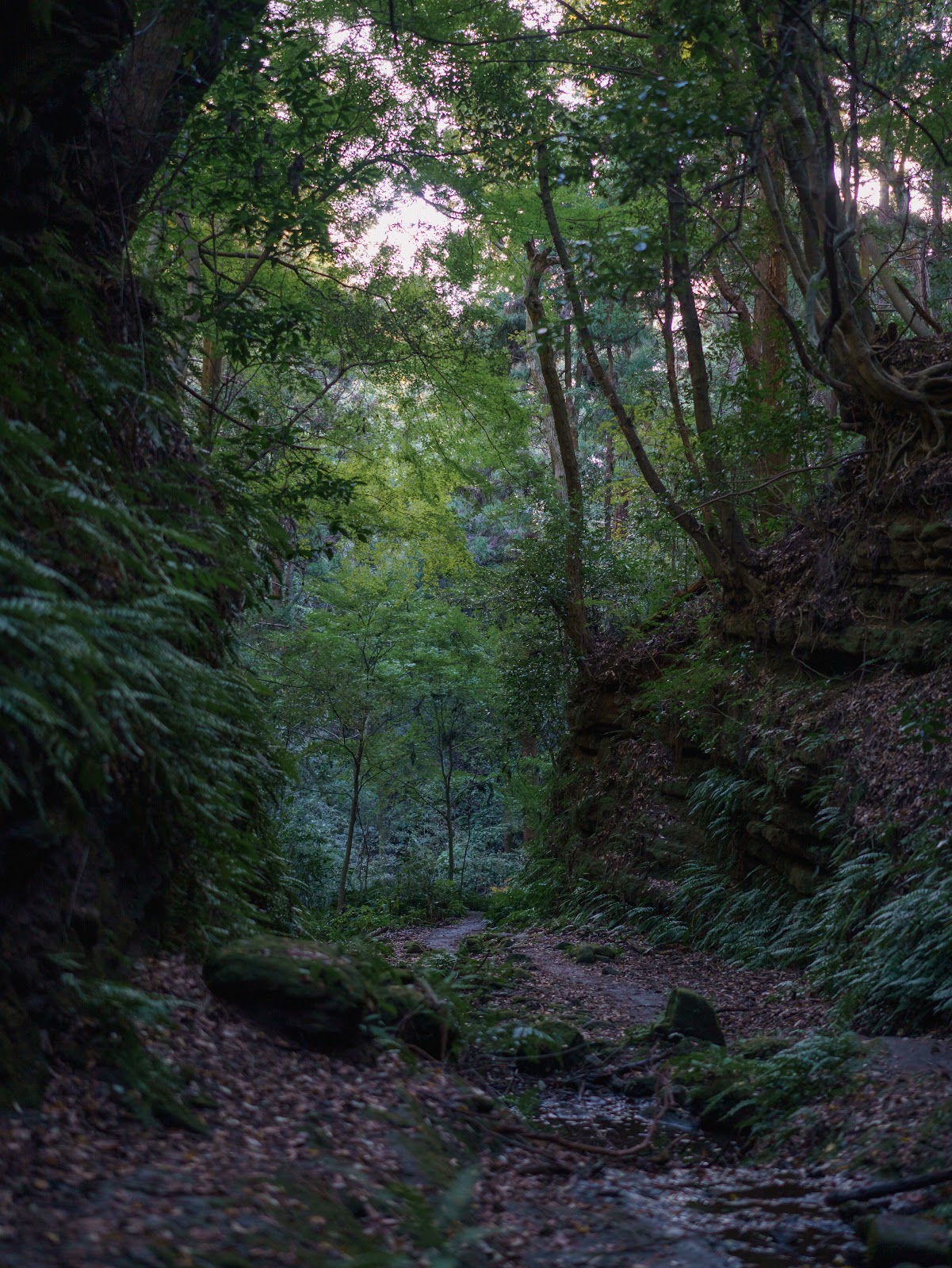 Kumano Kodo Trail
