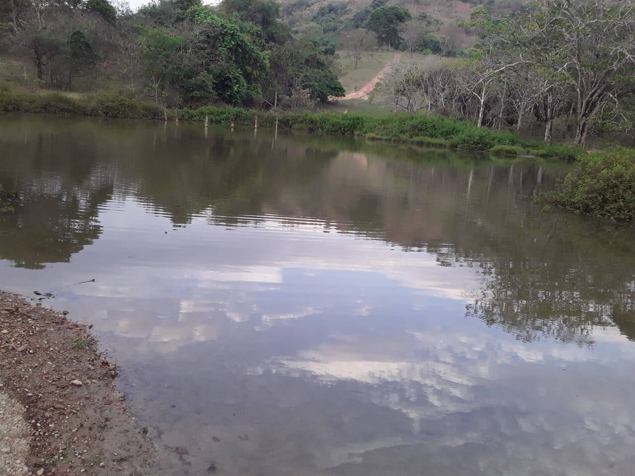 Fazenda em Cocalzinho de Goiás - GO 5