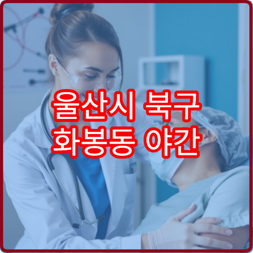 울산시 북구 화봉동 야간 내과 진료 가능한 병원 늦은 밤 진료 안내