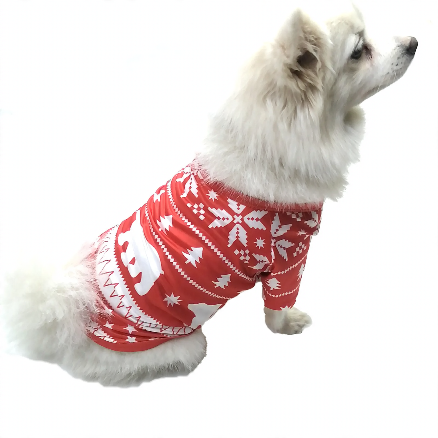 Christmas Pajama Set for the Family