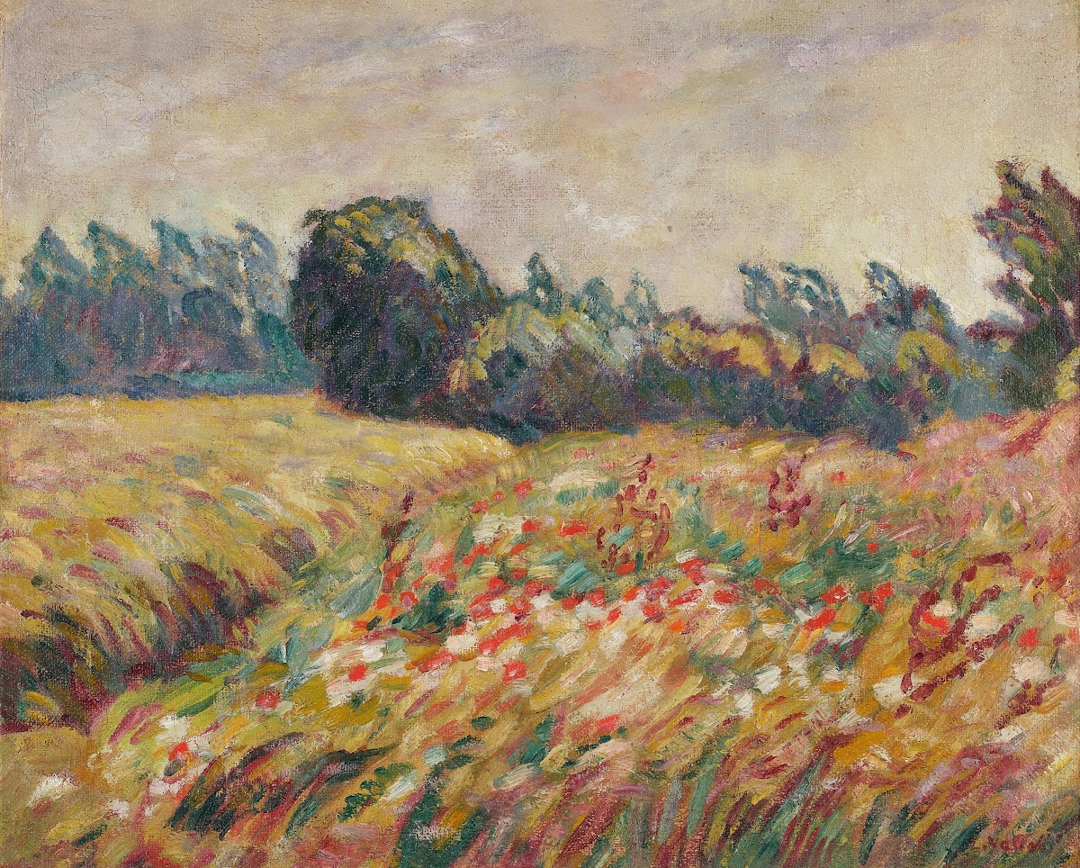 Champ fleuri en Normandie 1912