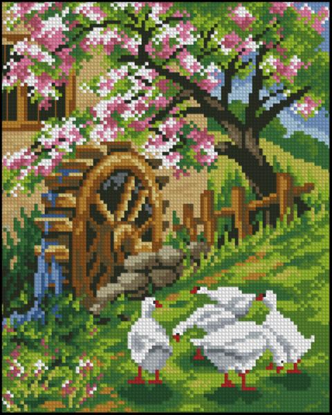CMP 320665 Domestic Bird