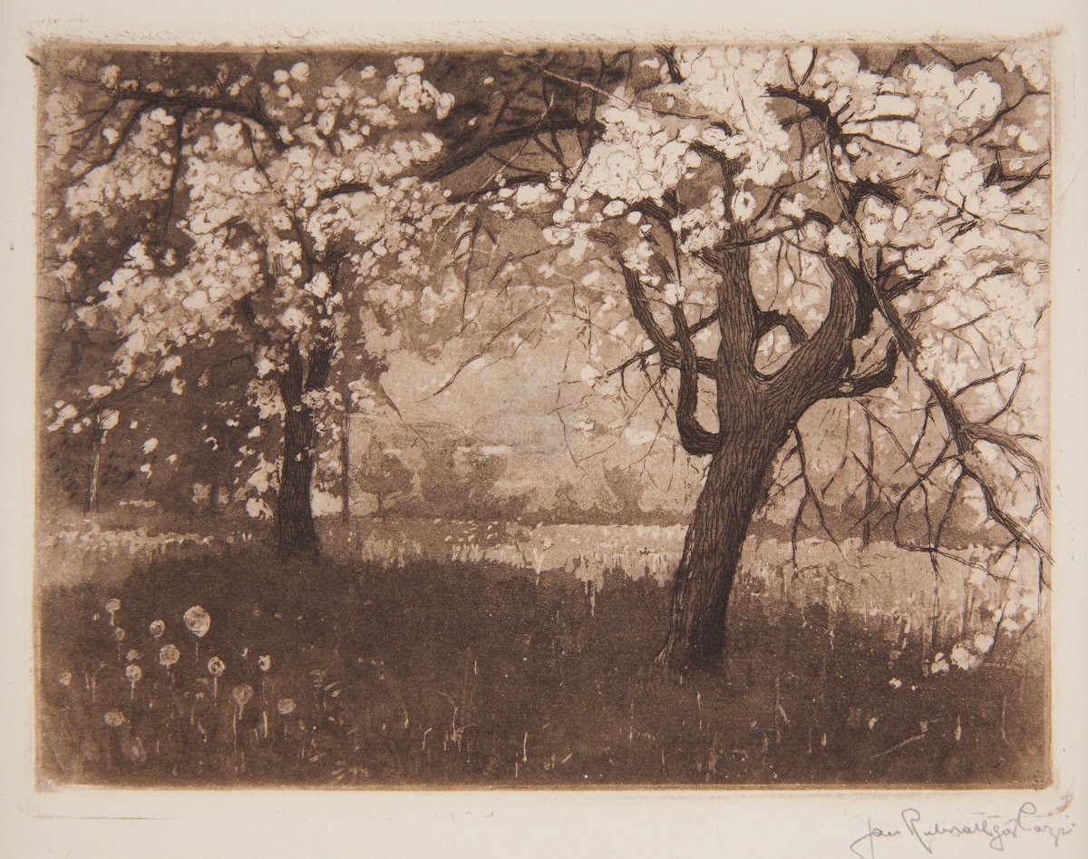 Kwitnący sad 1908