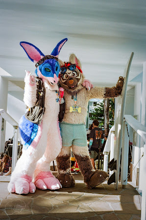 furdu-15-2.jpg