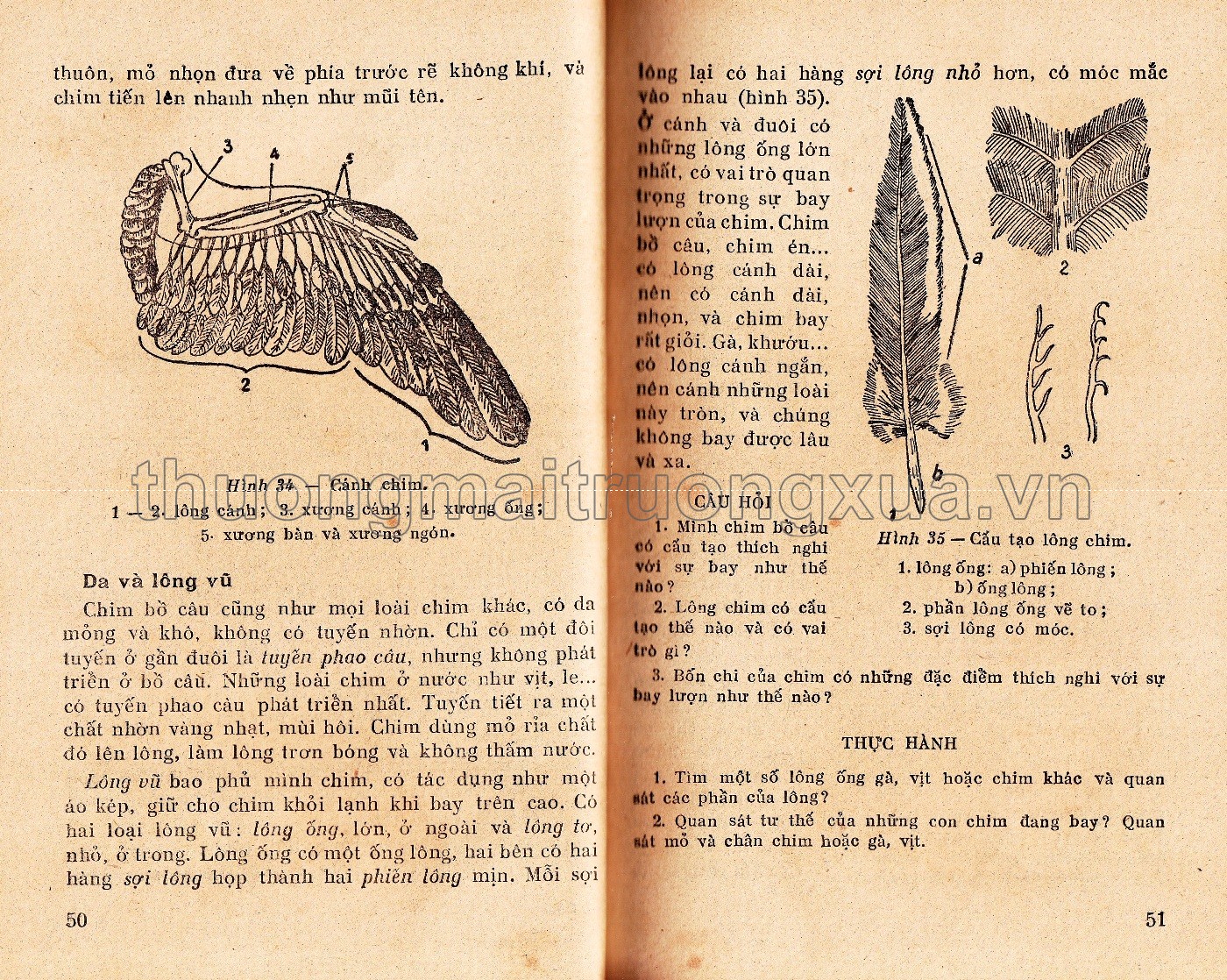 Động vật lớp 7 phổ thông (1968) - Trang 26